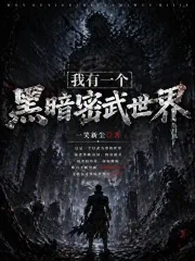 我有一个黑暗密武世界