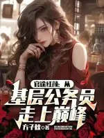 官途红颜：从基层公务员走上巅峰