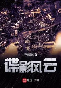 谍影风云