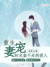 重生宠妻：时光盗不走的爱人