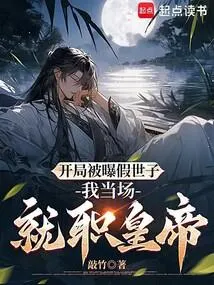 尘中镜