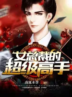 女总裁的超级高手