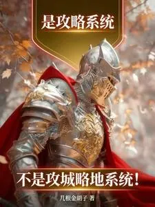 是攻略系统,不是攻城略地系统!