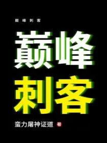 巅峰刺客