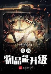我的物品能升级