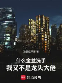 什么金盆洗手，我又不是龙头大佬